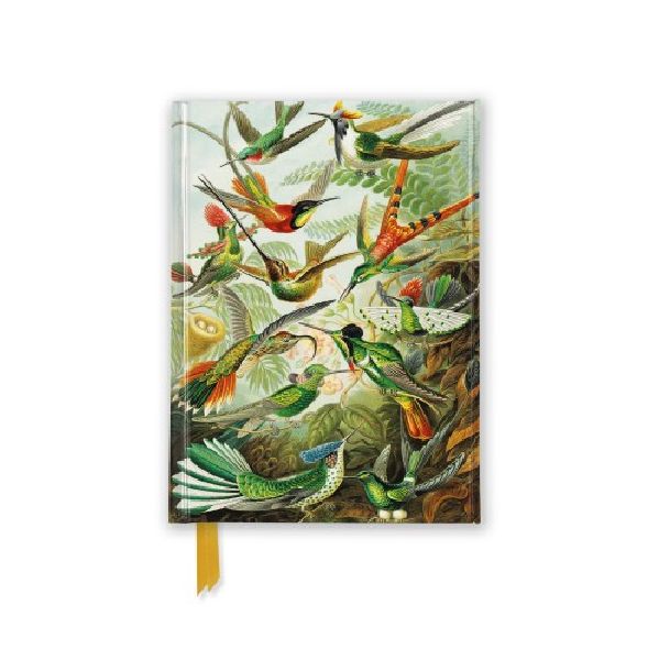 NB Ernst Haeckel: Hummingbirds (Foiled Pocket Journal)
