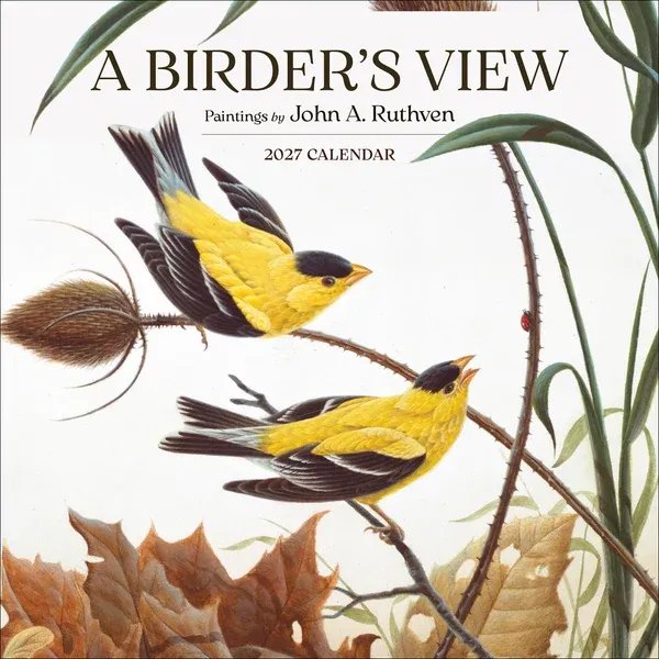 CA 2027 Birder’s View: John A. Ruthven