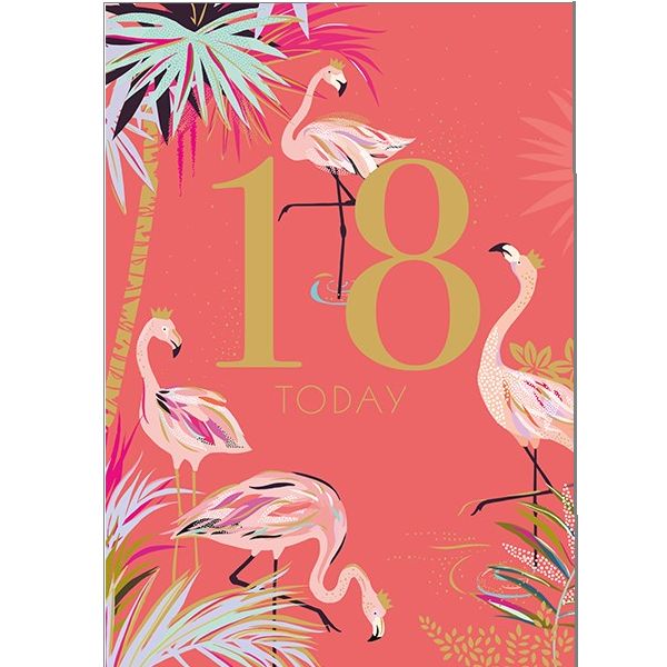GCA 18 Today Pink Flamingos