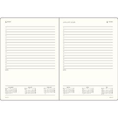 DI 2027 12m Leuchtturm Daily Planner
