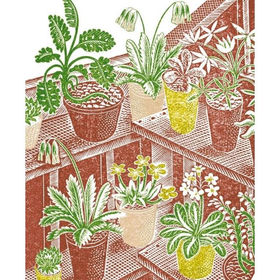 GC Ravilious Plants