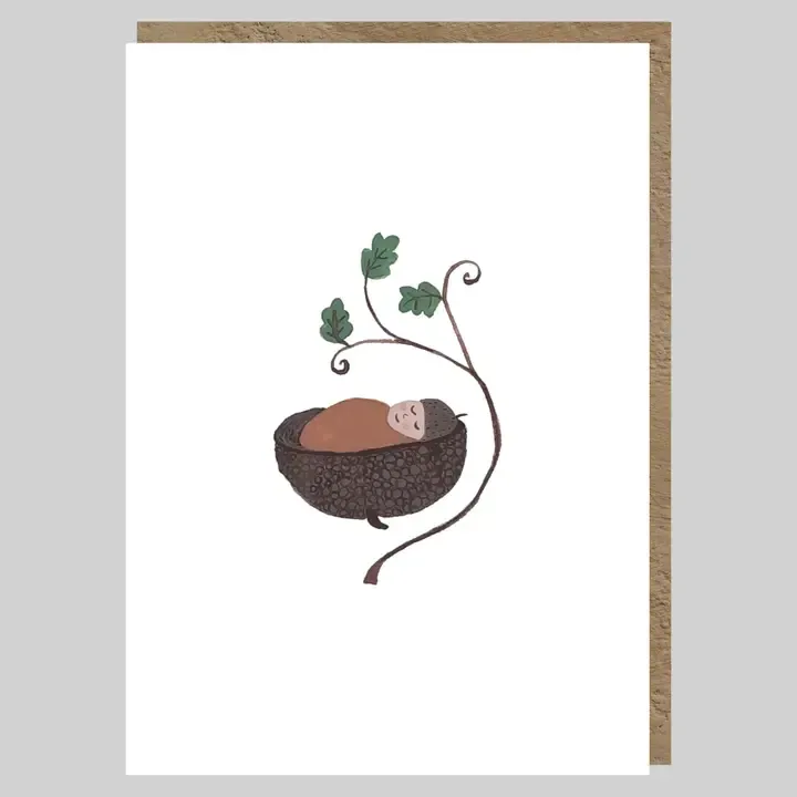 GC Acorn Baby