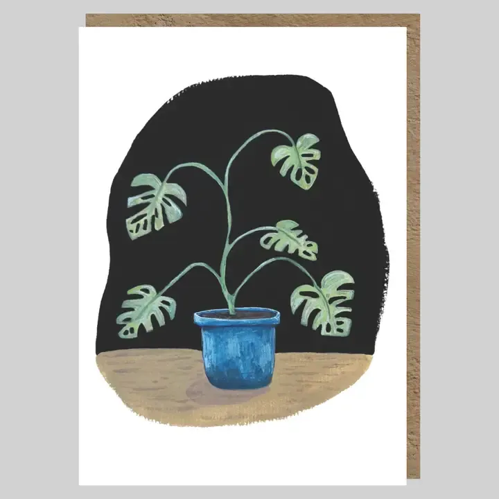 GC Monstera Plant