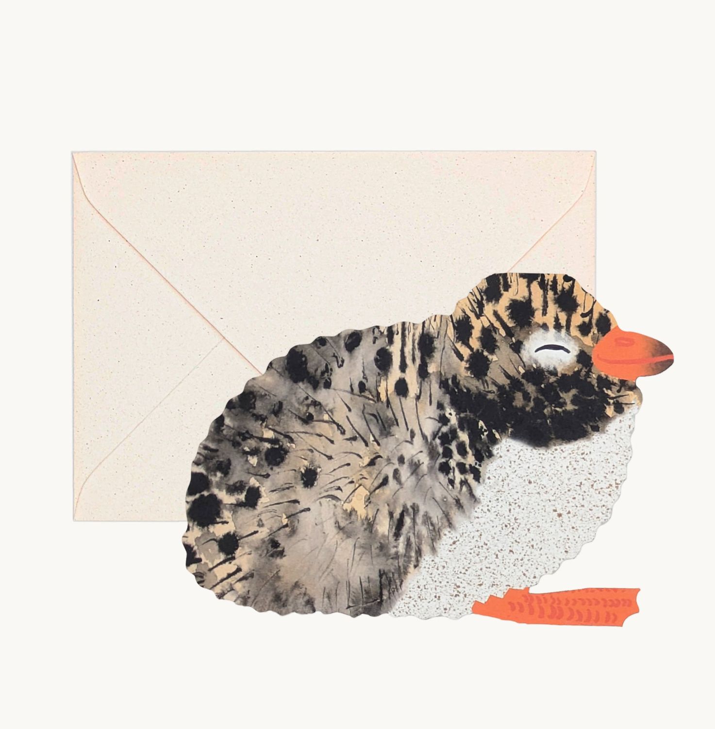 GC Arctic Tern Chick Greeting Card