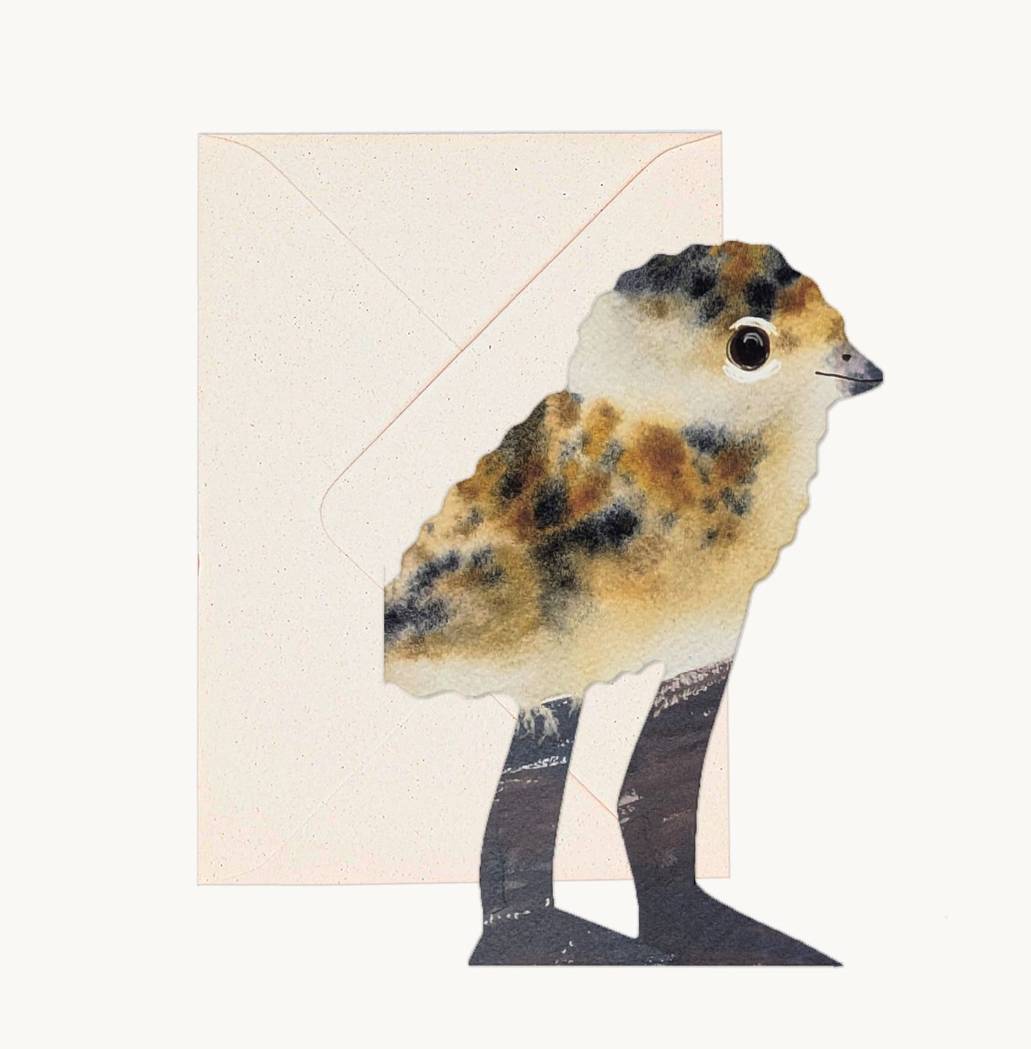 GC Lapwing Chick Greeting Card