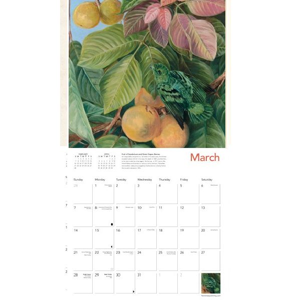CA 2027 Kew Gardens: Tropical Plants by Marianne North Wall Calendar 2027 (Art Calendar)