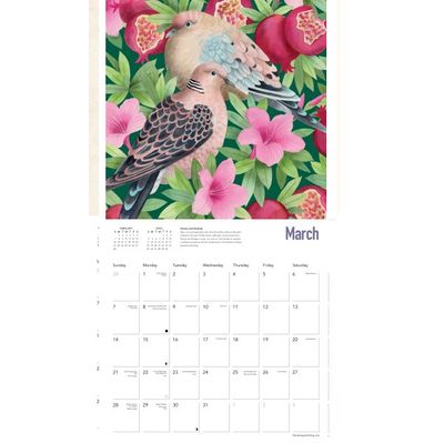 CA 2027 Bex Parkin: Wildlife Wall Calendar 2027 (Art Calendar)