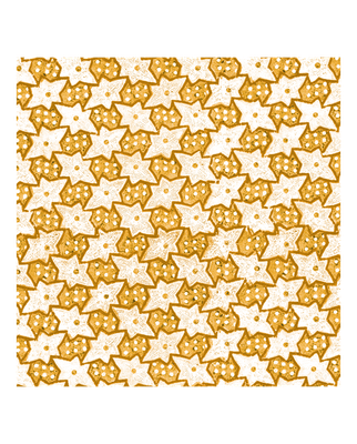 OR Origami Paper Set 'Remondini Stelle'