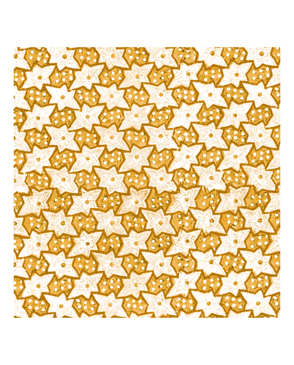 OR Origami Paper Set 'Remondini Stelle'