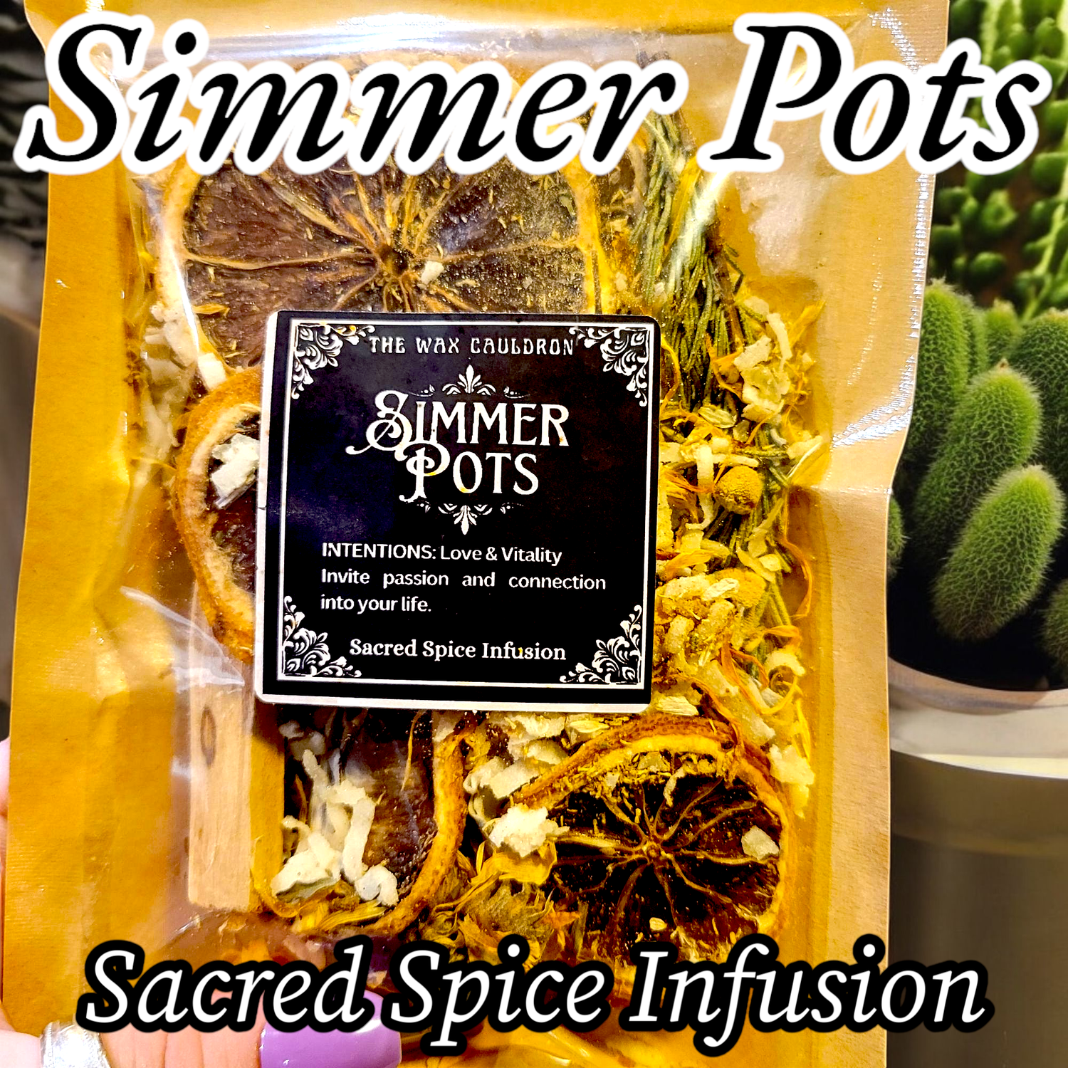 Simmer Pots- Sacred Spice Infusion