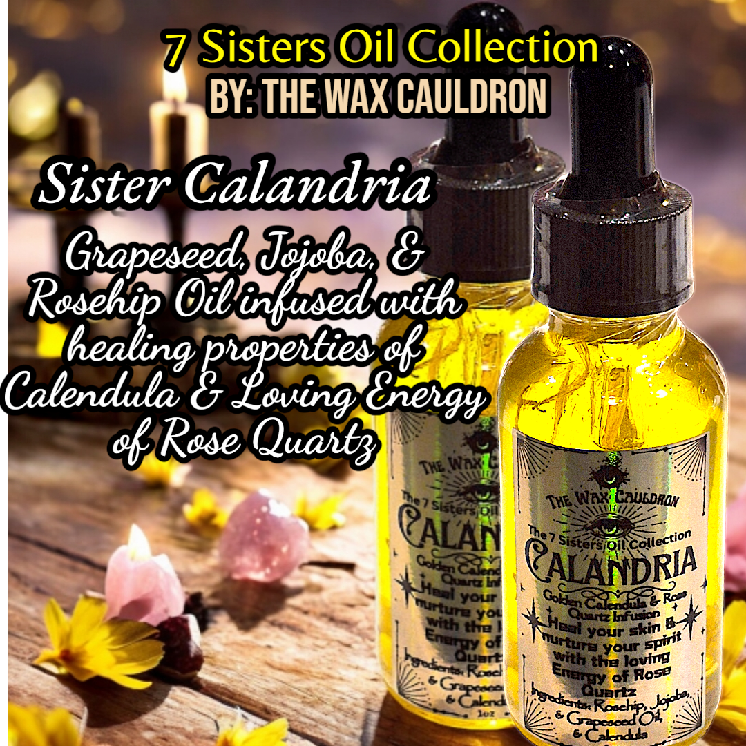 Sister Calandria- Calendula Oil Infusion