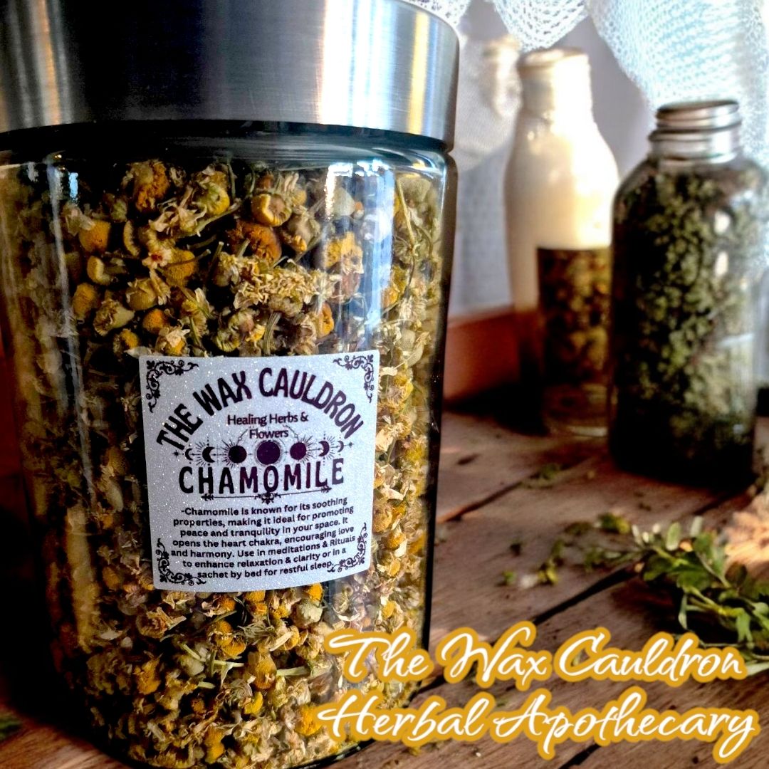 Dried Chamomile Flowers