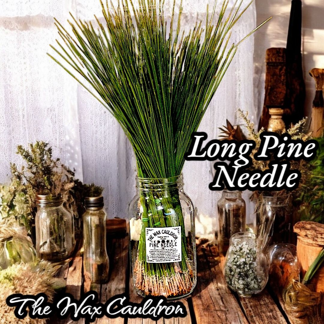 Dried Pine Needle- Herbs