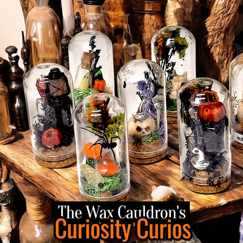 Curiosity Curios