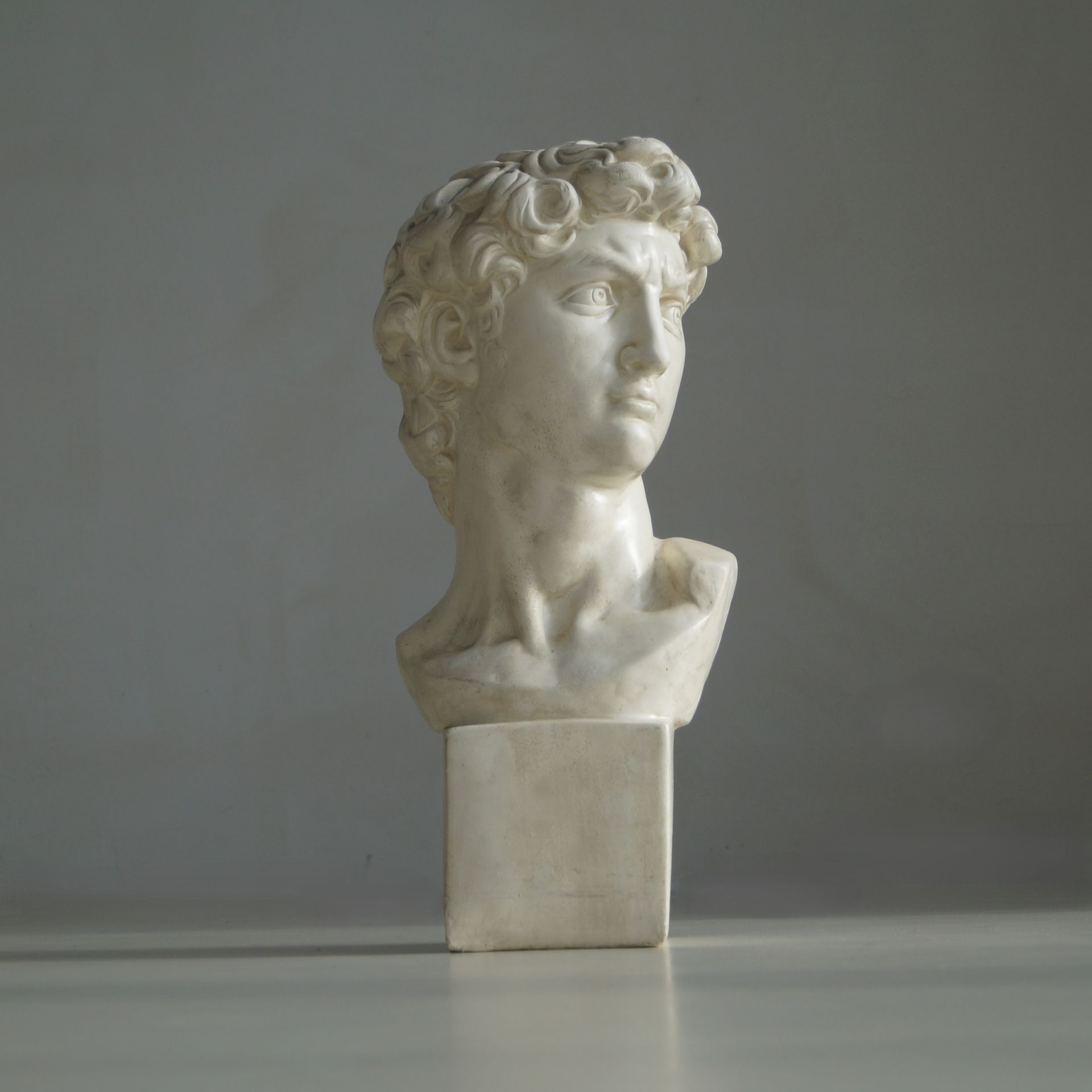 Large Vintage Bust of Michelangelo’s David, 1970s