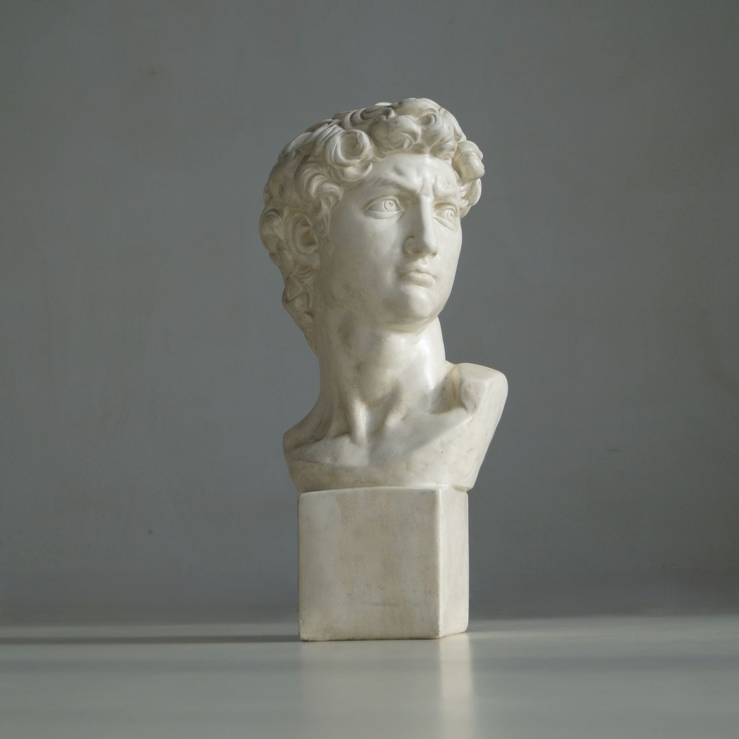 Large Vintage Bust of Michelangelo’s David, 1970s