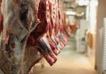 Whole Animal (Elk) You Complete Processing-Comes in 4 Quarters.  Price Per lb   *Average Animal Hanging Weight is between 250 and 300 pounds