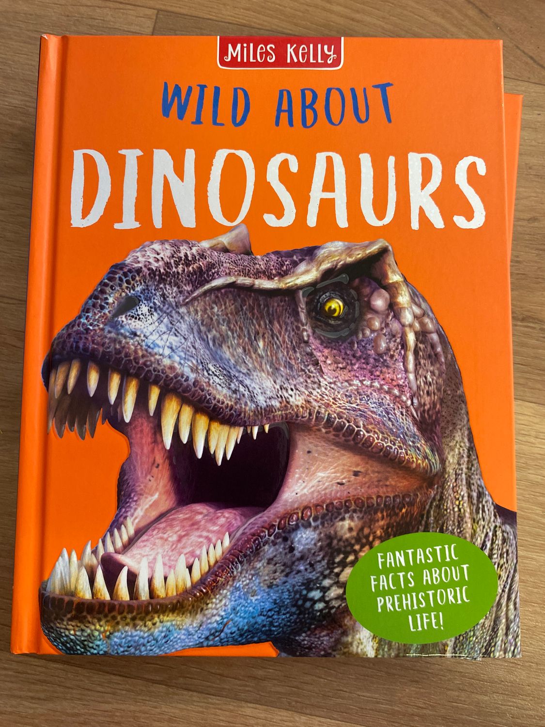 Wild About Dinasaurs