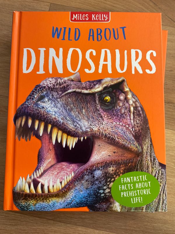 Wild About Dinasaurs