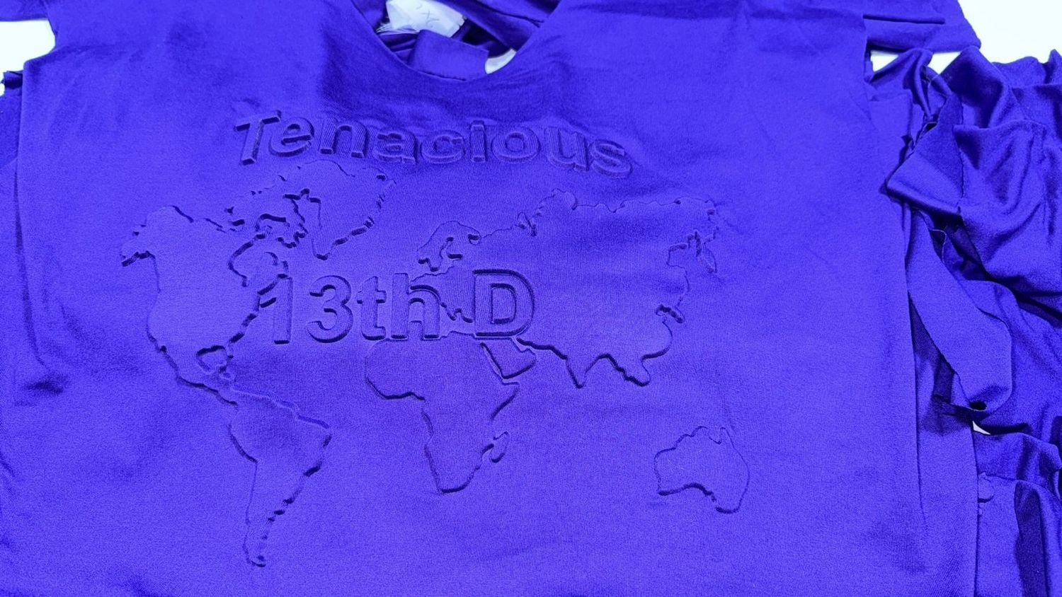 13th  District Embossed(Purple Short Sleeve)