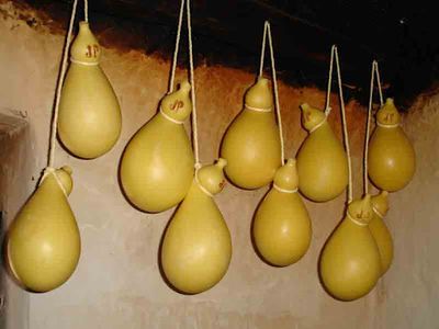 CACIOCAVALLO DOP