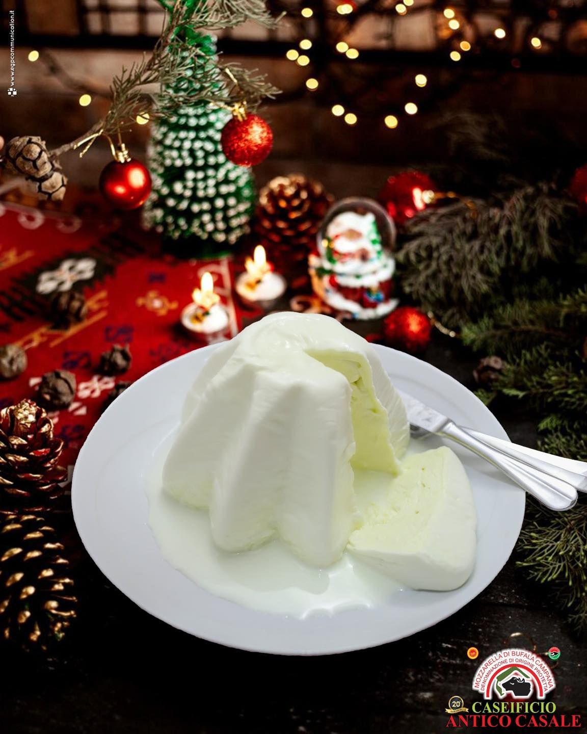 PANDORO DI BUFALA CAMPANA DOP
