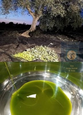 UFILTRERT EVO OLIVENOLJE i 1 liter kanne