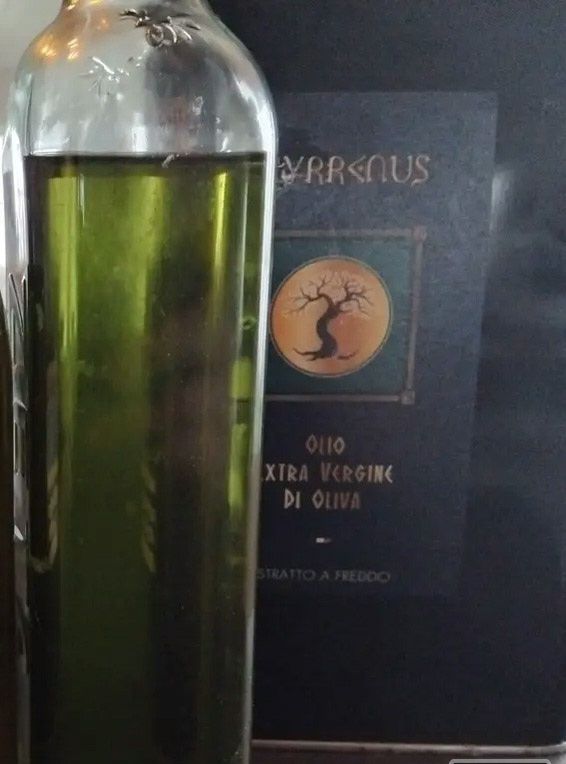 EVO OLIVENOLJE i 1 liter kanne OKTOBER 2025