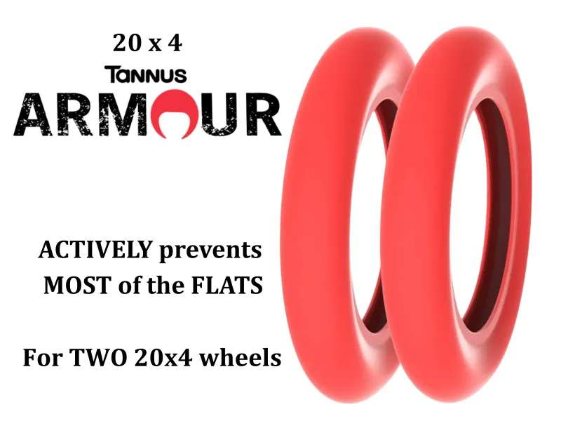 DATE TANNUSx2 20x4 tannus armour - passively prevent most of your flats