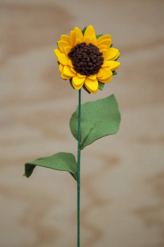 Zonnebloem