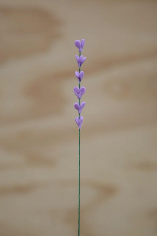 Lavendel
