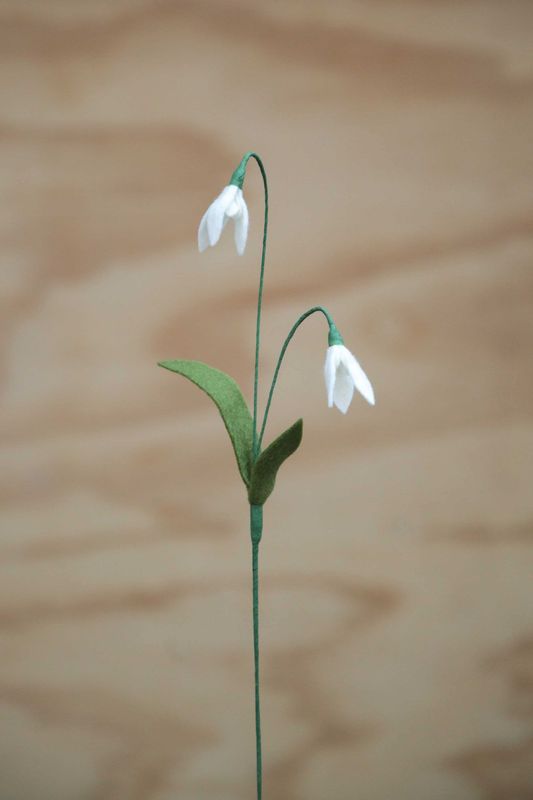 Sneeuwklokje