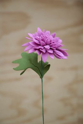 Chrysant