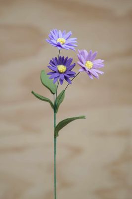 Geboortebloemen