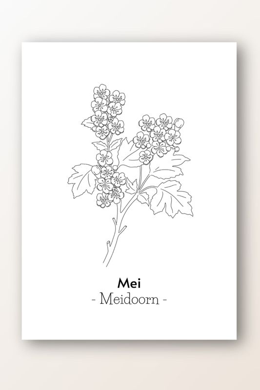 Kaart mei; meidoorn