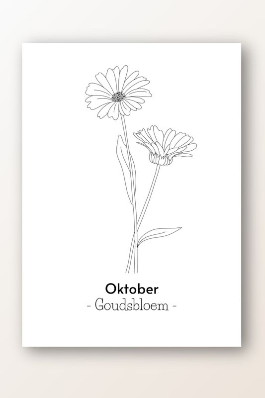 Kaart oktober; goudsbloem