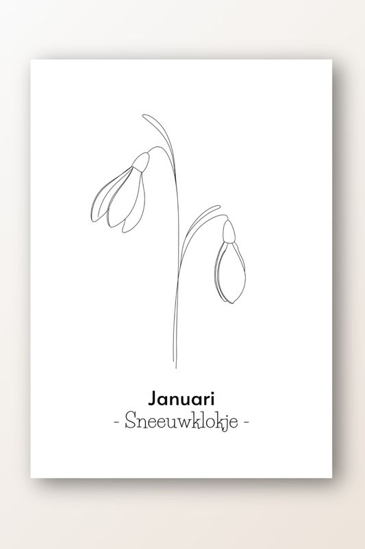 Kaart januari; sneeuwklokje