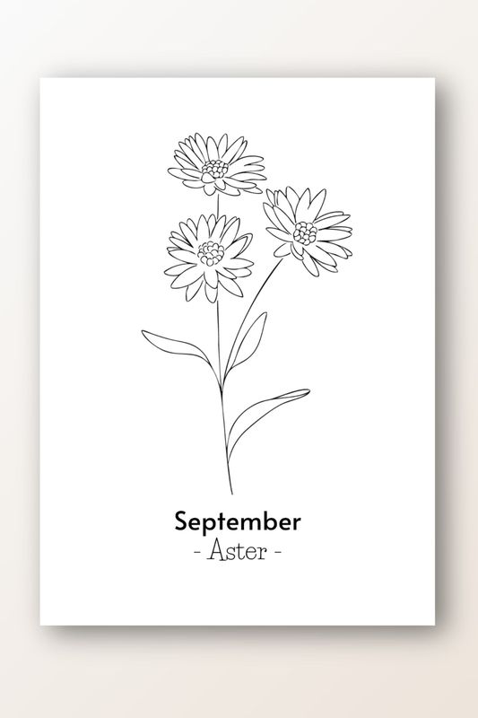 Kaart september; aster