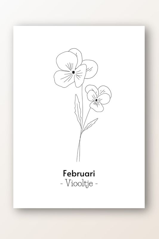 Kaart februari; viooltje
