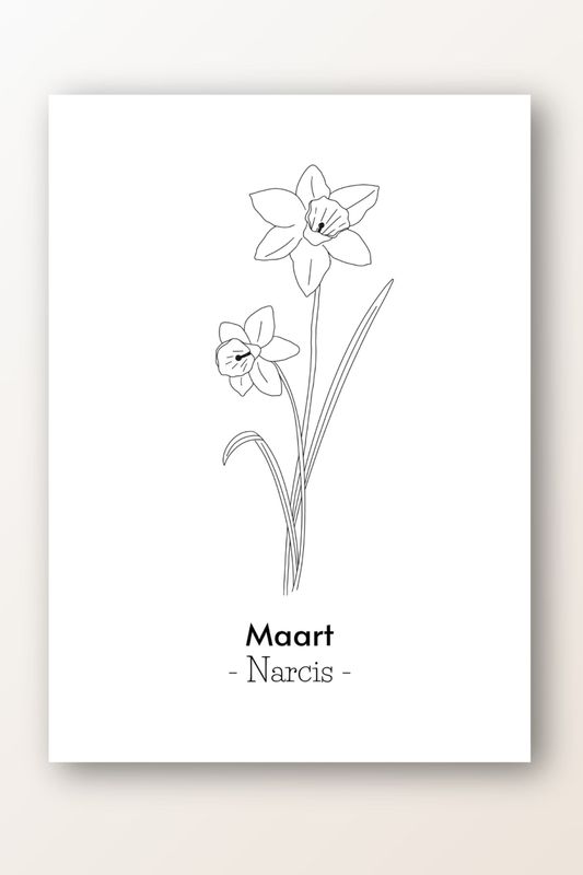 Kaart maart; narcis