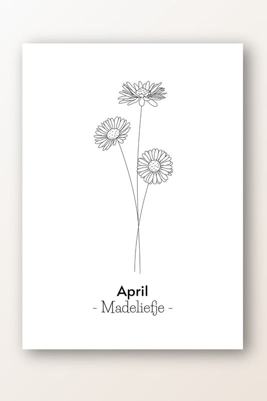 Kaart april; madeliefje