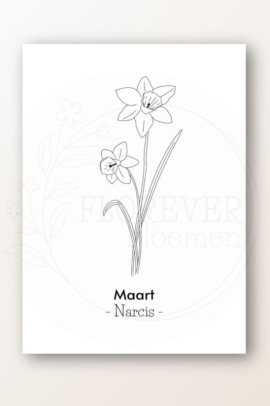 Kaart maart; narcis