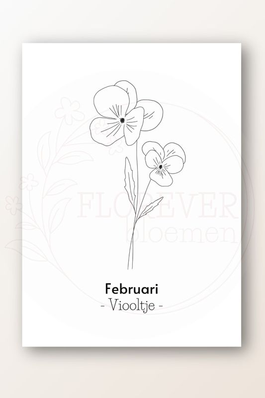 Kaart februari; viooltje