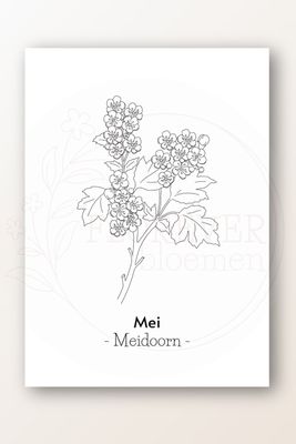 Kaart mei; meidoorn Kaart mei; meidoorn