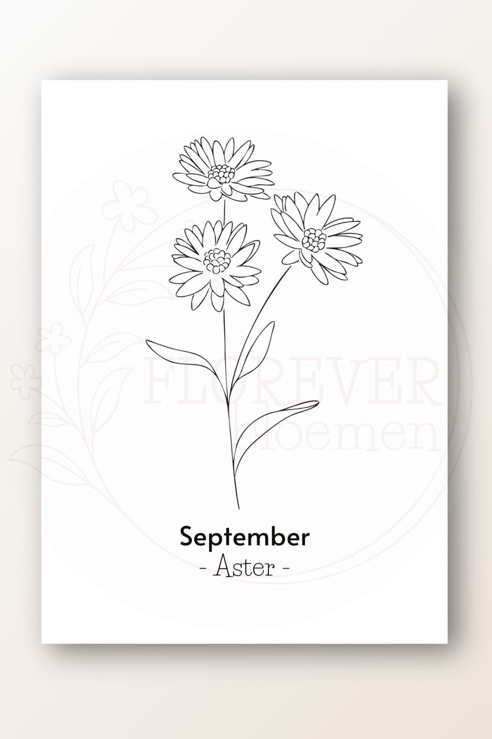 Kaart september; aster