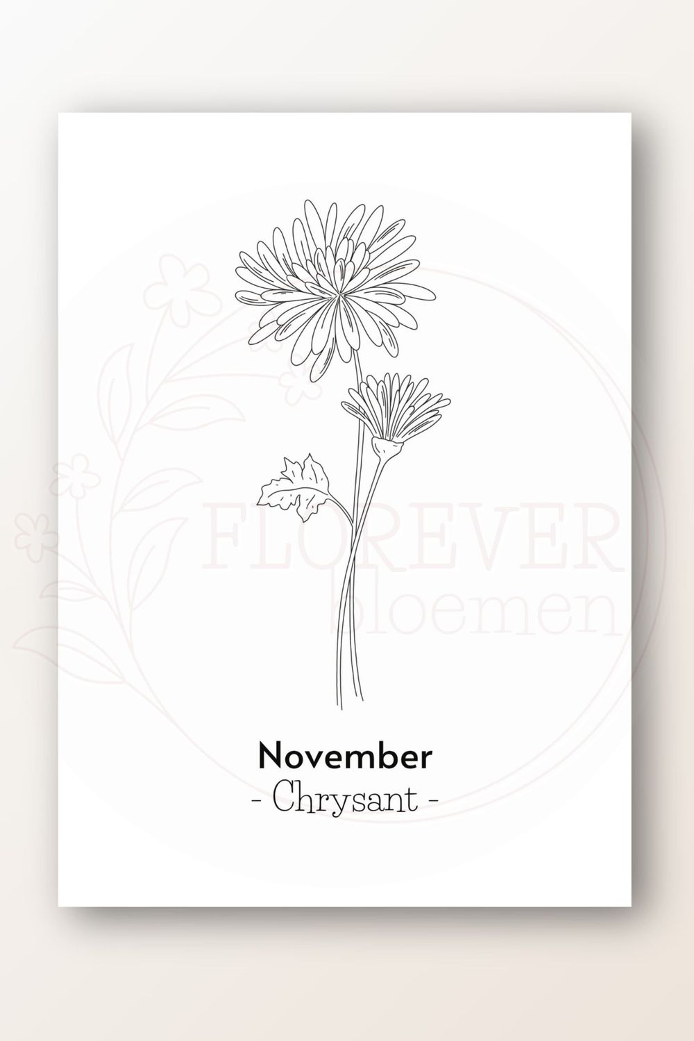 Kaart november; chrysant
