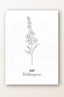 Kaart juli; ridderspoor