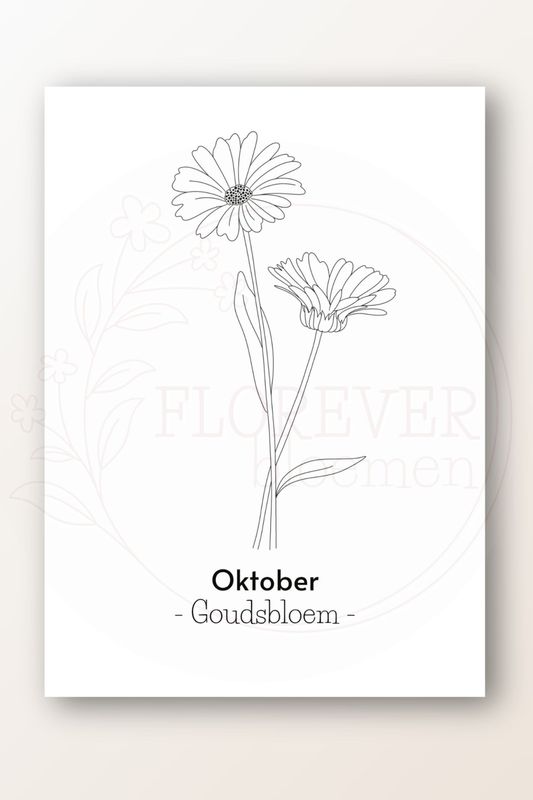 Kaart oktober; goudsbloem
