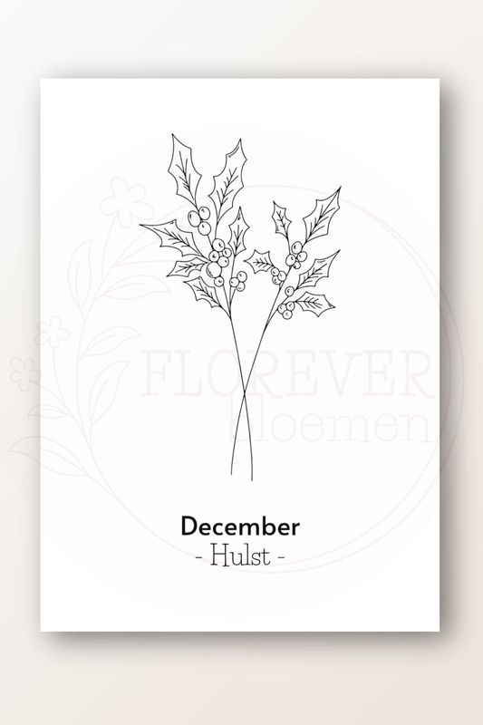 Kaart december; hulst