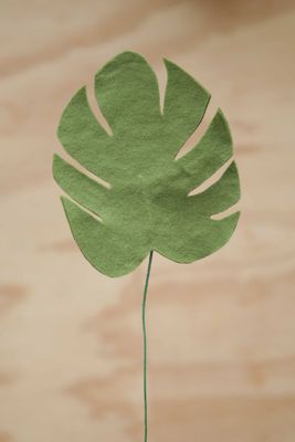 Monstera blad groot Monstera blad groot